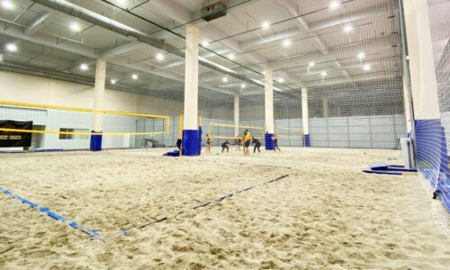 Honey Volley
